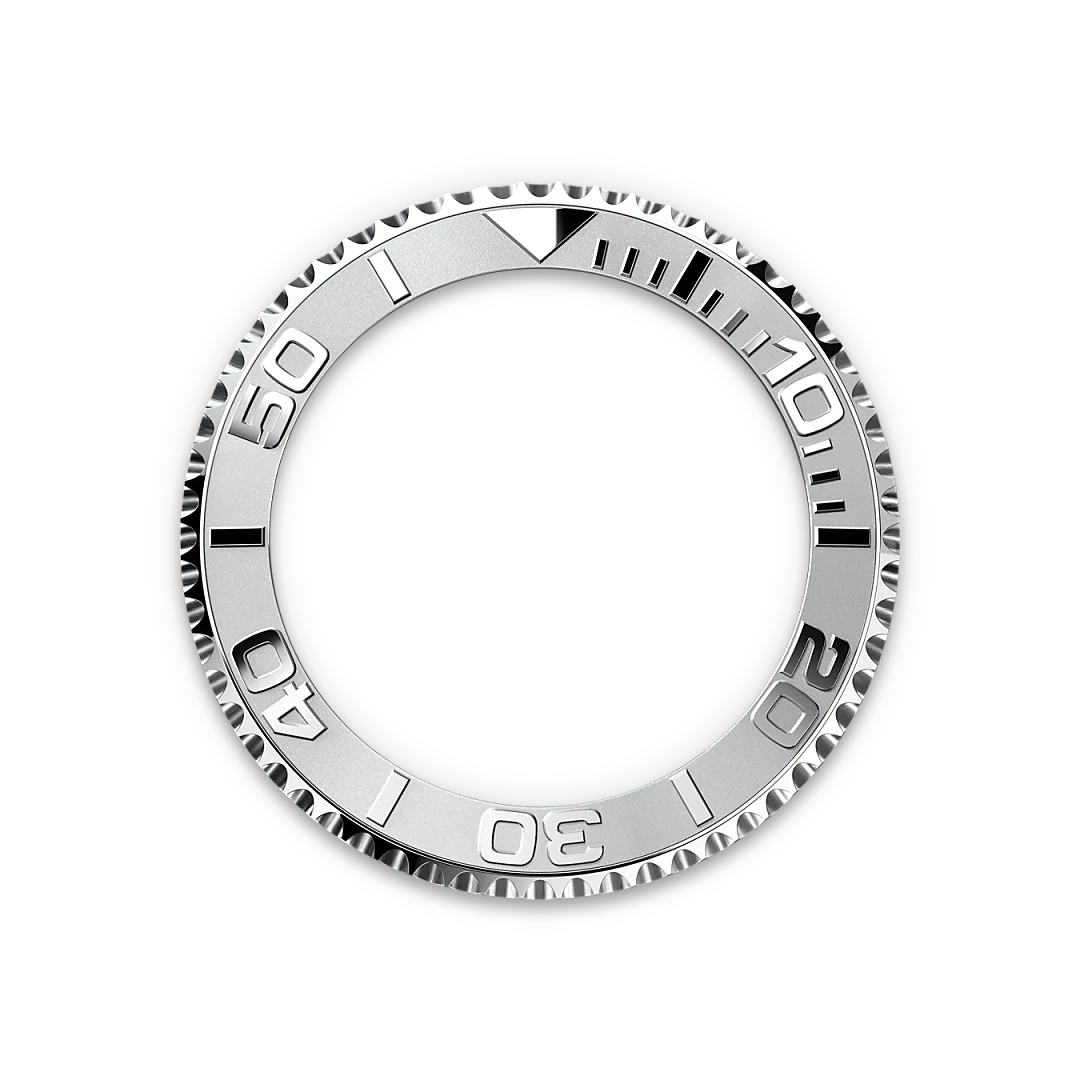 Bidirectional Rotatable Bezel