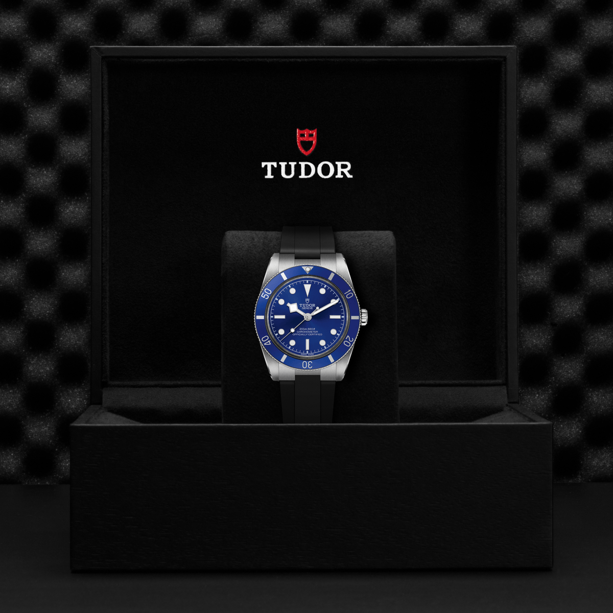 TUDOR Watches - BLACK BAY 54 | Manfredi Jewels