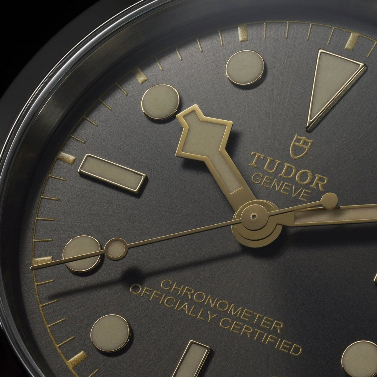 TUDOR Watches - BLACK BAY ONE 39 | Manfredi Jewels