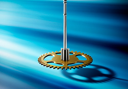 Grand Seiko - The 25th anniversary of the 9S mechanical calibers - Chapter 12