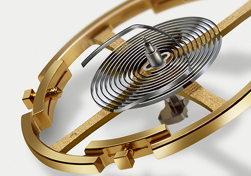 Grand Seiko - The 25th anniversary of the 9S mechanical calibers - Chapter 14