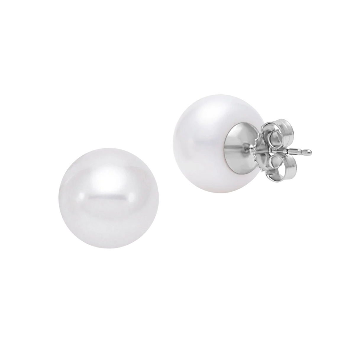 Mastoloni - 14K White Gold 9.5-10MM Button Freshwater Pearl Earrings | Manfredi Jewels