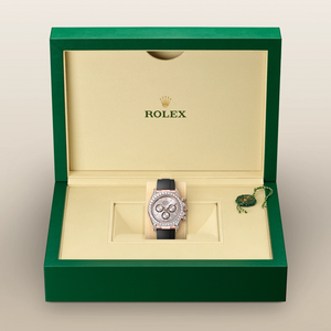 Rolex Cosmograph Daytona Everose gold and diamonds