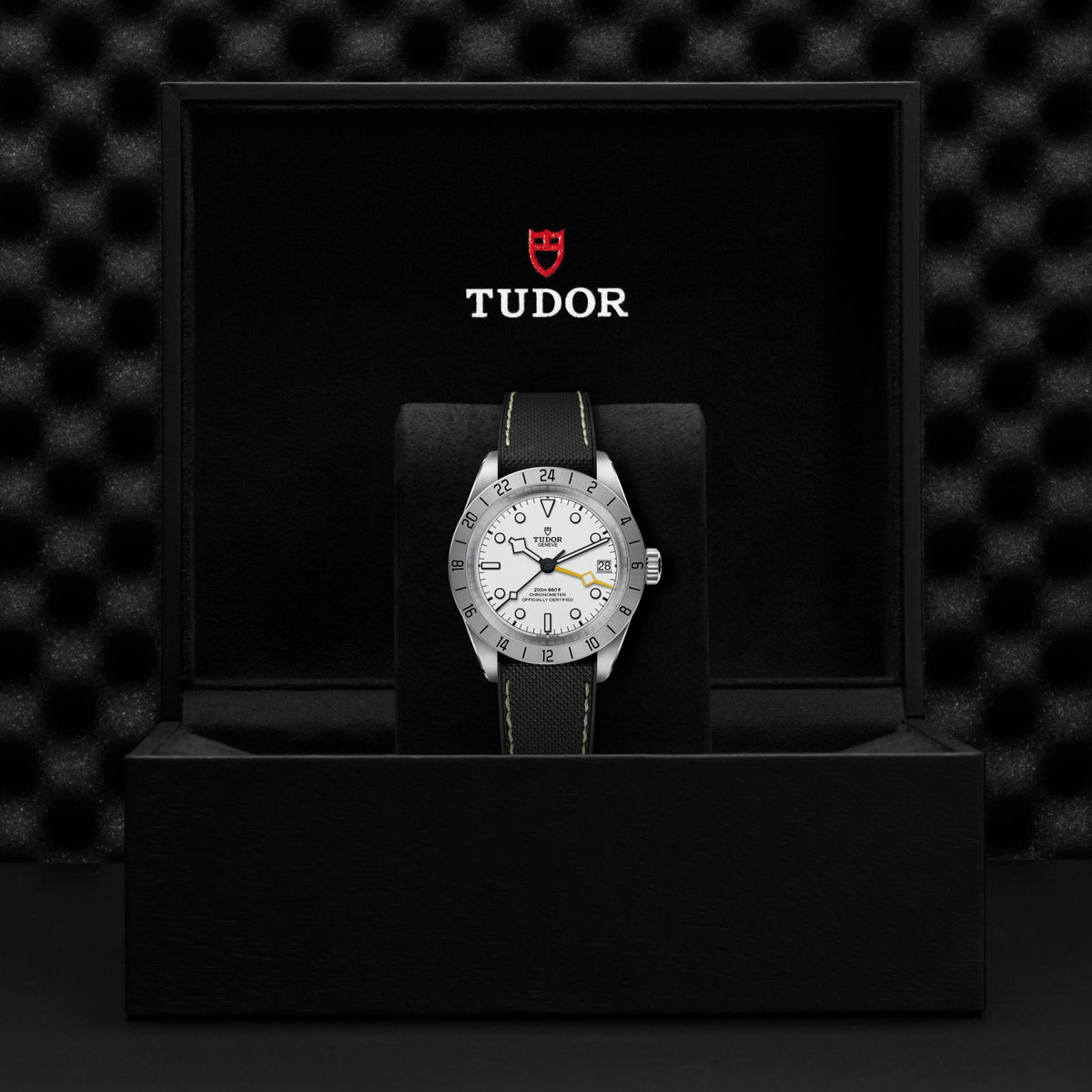 TUDOR Watches - BLACK BAY PRO | Manfredi Jewels
