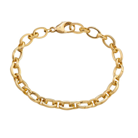 Audrey 18K Yellow Gold Link Charm Bracelet