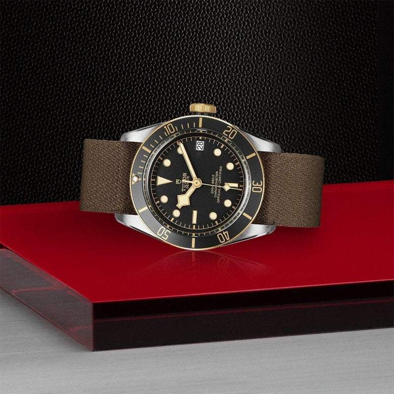 TUDOR Watches - BLACK BAY S&G | Manfredi Jewels