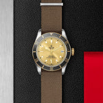 TUDOR Watches - BLACK BAY S&G | Manfredi Jewels