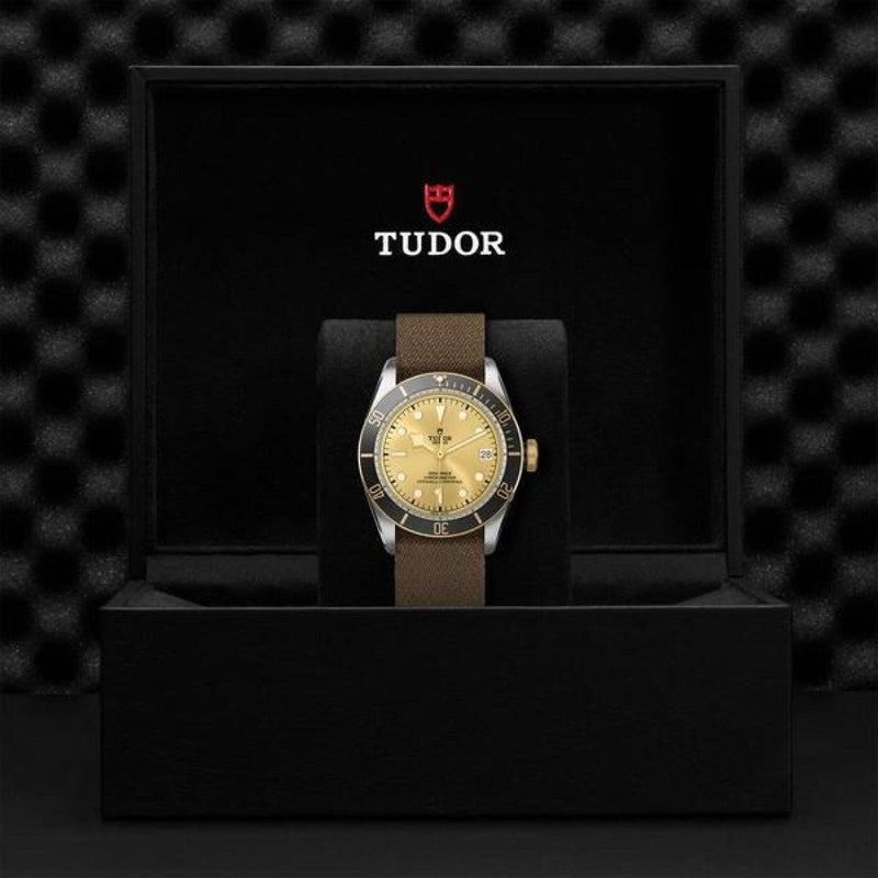 TUDOR Watches - BLACK BAY S&G | Manfredi Jewels