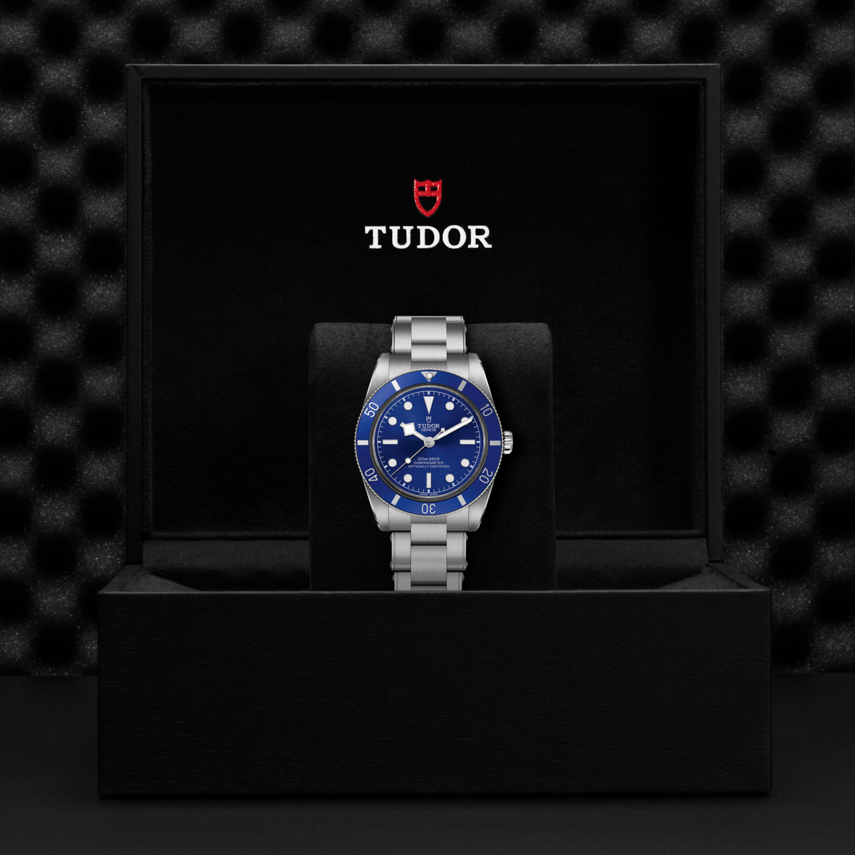 TUDOR Watches - BLACK BAY 54 | Manfredi Jewels