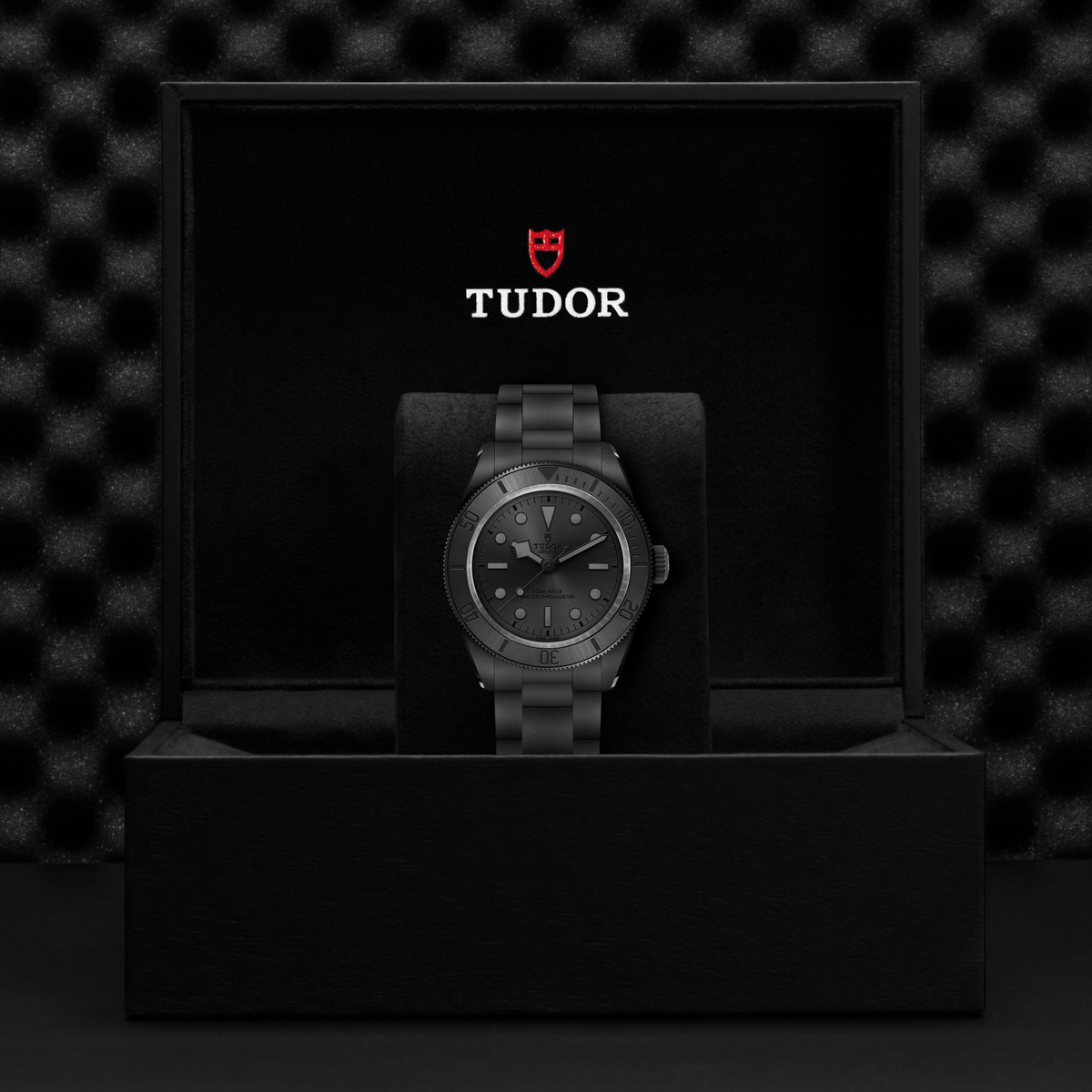 TUDOR Watches - BLACK BAY CERAMIC | Manfredi Jewels