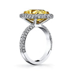 Manfredi Jewels Engagement - Ring